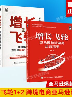 增长飞轮1+2电子工业出版社
