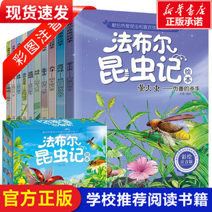 绘本故事书 精美盒装 一二三四五年级小学生阅读科普课外书幼儿原著正版 礼品书幼儿亲子伴读完整版 法布尔昆虫记注音美绘版 全套10册