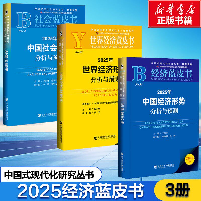 2025年中国经济形势分析与预测（经济蓝皮书）+2025年世界经济形势分析与预测+2025年中国社会形势分析与预测