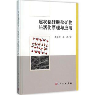 层状铝硅酸盐矿物热活化原理与应用 李光辉,姜涛 著 正版书籍 新华书店旗舰店文轩官网 科学出版社