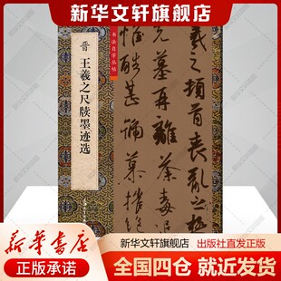 晋王羲之尺牍墨迹选柯国富编艺术毛笔书法上海大学出版社新华文轩旗舰店正版书籍