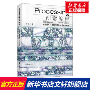 Processing创意编程 生成设计|数据可视化|声音可视化 声音可视化 双色印刷零基础自学经典教程 程序设计计算机电脑编程入门书籍