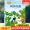 树和喜鹊注音版 金波一年级下册语文教材书课文作家作品系列 必小学生课外同步拓展推荐阅读书经典儿童文学正版书籍人民教育出版社