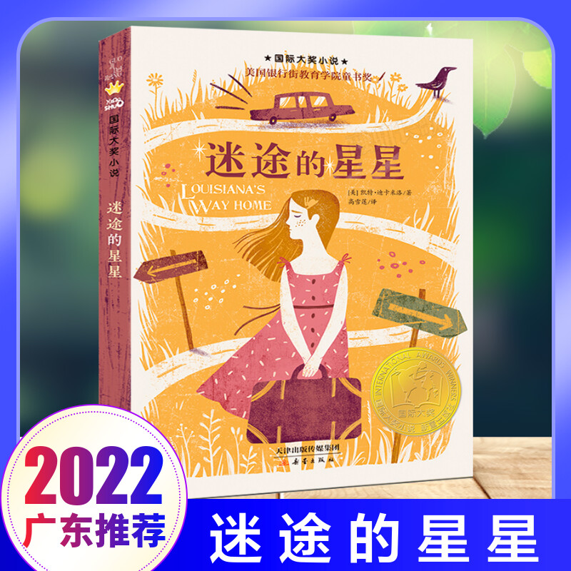迷途的星星 国际大奖小说 经典儿童文学童书奖 大阅小森百班千人五年级推荐阅读共读书目 小学生三四五六年级课外书新蕾出版社正版