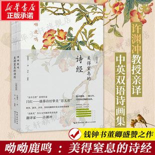 汉英对照 中英双语诗画集 闫红解析 呦呦鹿鸣 赏析解读字词注释难字注音中国古典文学诗歌正版 诗经 许渊冲译 书籍 美得窒息