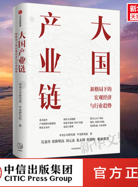 大国产业链 中金研究院 新形势下大国规模优势对于中国产业链发展的意义 半导体汽车等产业的形势与应对建议 中信出版社