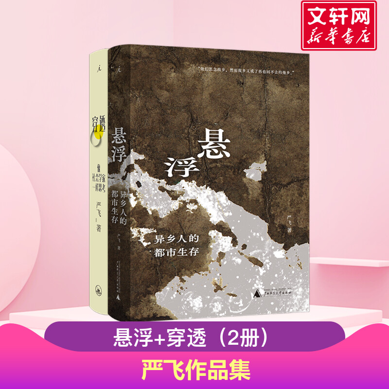 【全2册】严飞作品二册 悬浮 异乡人的都市生存+穿透 像社会学家一样思考 都市异乡人的漂泊寻根图景 社会学通识书 新华正版