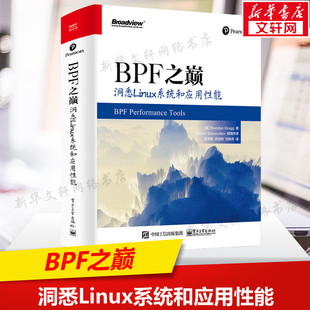 系统性能应用****性能 布兰登.格雷格 电子工业出版 BPF之巅 正版 自学前端编程框架Linux 社 洞悉Linux系统和应用性能