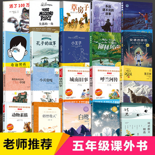 四升五年级必读课外阅读书籍小学生推荐中国民间故事西游记狼王梦琦君散文精选海底两万里城南旧事柳林风声少年读史记小王子正版