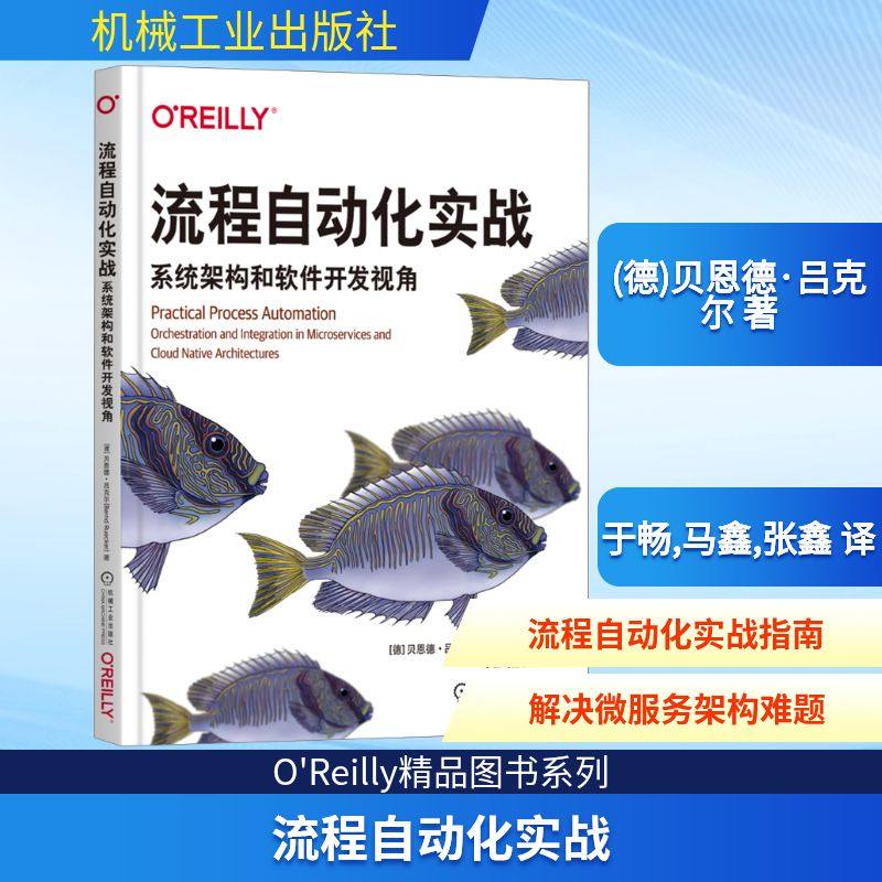流程自动化实战 系统架构和软件开发视角 (德)贝恩德·吕克尔 正版书籍 新华书店旗舰店文轩官网 机械工业出版社