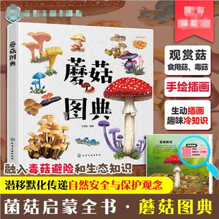 【新华文轩】蘑菇图典 3-8岁儿童孩子幼儿园低年级一二三年级宝典科普读物图书籍 真实手绘图片 形态各异的蘑菇