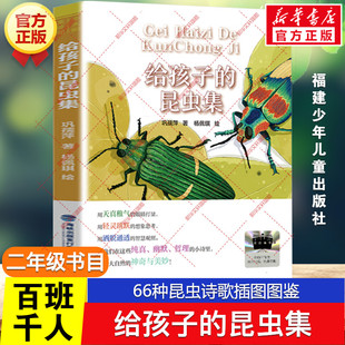 给孩子的昆虫集 百班千人二年级阅读书目66种昆虫诗歌插图图鉴儿童文学必小学生二年级课外书推荐阅读书目正版福建少年儿童出版社