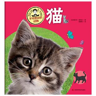 【新华文轩】猫/不可思议的动物 黛尔菲恩·格林贝格 正版书籍 新华书店旗舰店文轩官网 吉林科学技术出版社