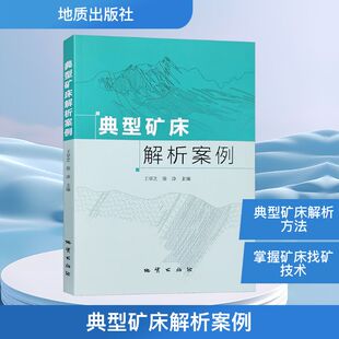典型矿床解析案例 正版书籍 新华书店旗舰店文轩官网 地质出版社