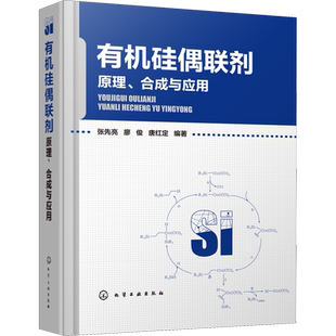 有机硅偶联剂:原理,合成与应用 张先亮 廖俊 唐红定 有机硅偶联剂生产制备技术书籍 硅烷偶联剂大分子硅偶联剂衍生物合成及应用