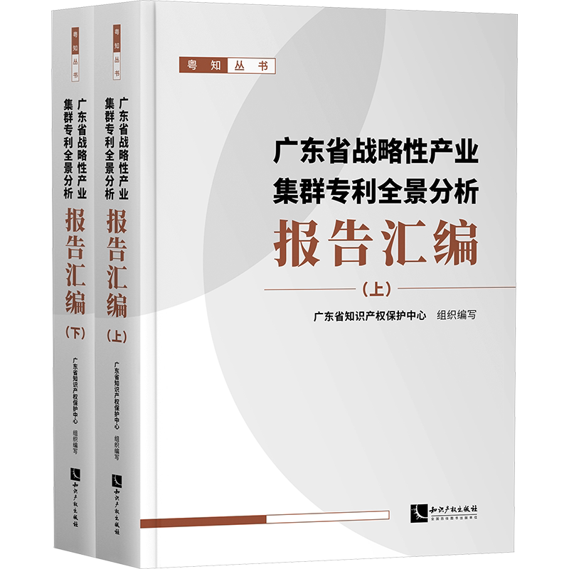 广东省战略性产业集群专利全景分析报告汇编(全2册) 知识产权出版社 正版书籍 新华书店旗舰店文轩官网