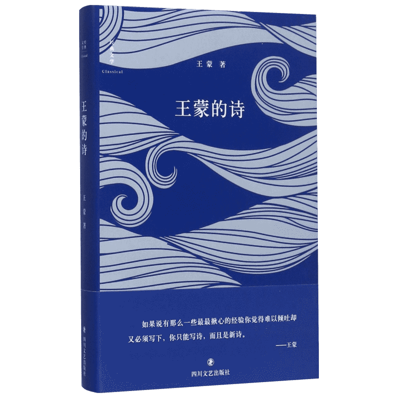 【新华文轩】王蒙的诗 王蒙 著 正版书籍小说畅销书 新华书店旗舰店文轩官网 四川文艺出版社