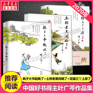 中国好书套装4册 叶广岑著 土狗老黑闯祸了耗子大爷起晚了花猫三丫上房了熊猫小四三四年级小学生阅读课外书籍儿童文学读物课外书