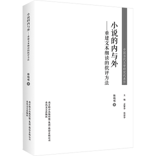 【新华文轩】小说的内与外——重建文本细读的批评方法 陈晓明 正版书籍小说畅销书 新华书店旗舰店文轩官网 春风文艺出版社