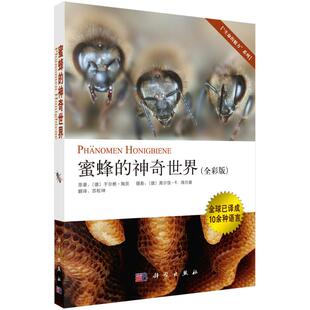 蜜蜂的神奇世界 (德)于尔根·陶茨原 正版书籍 新华书店旗舰店文轩官网 科学出版社