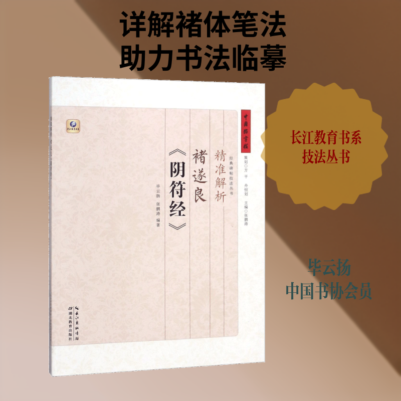精准解析褚遂良《阴符经》 毕云扬张鹏涛 艺术毛笔书法书 中国书法练习字帖指导教程书籍 新华书店旗舰店官网 文轩正版图书籍