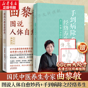 曲黎敏图说人体自愈妙药+手到病除之经络养生 曲黎敏,陈腾为著 正版书籍 新华书店旗舰店文轩官网 天津科学技术出版社等