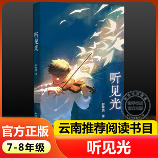 新华文轩】听见光时代少年舒辉波著2024年云南暑假阅读七八78年级晨光杯推荐书目小学生必课外阅读书正版书籍 新华书店晨光出版社