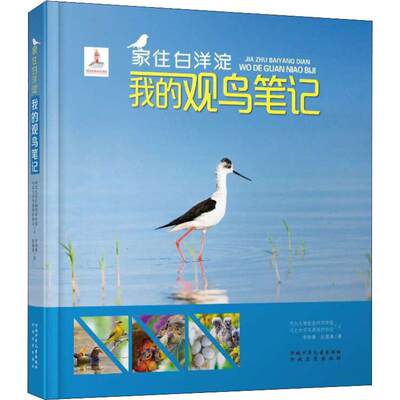 【新华文轩】家住白洋淀 我的观鸟笔记 河北大学生命科学学院,河北大学鸟类保护协会 正版书籍 新华书店旗舰店文轩官网