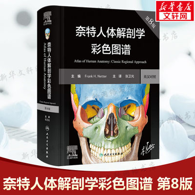 奈特人体解剖学图谱第8版 汉英对照 彩色学图谱 神经系统肌肉骨骼生理学基础肌动学书籍临床基础教材法医人卫版解刨解剖图谱正版