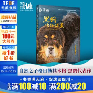 正版 黑狗哈拉诺亥黑鹤动物文学小说精品系列小学生三四五六年级课外阅读书目9 12岁儿童读物格日勒其木格故事图书籍老师寒暑假推荐