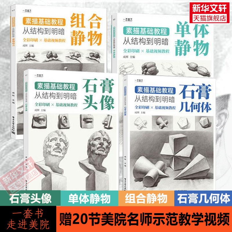中国美术学院素描基础教程 结构到明暗全4册 基础入门到贯通正版书籍美术生艺术考级学画画临摹 石膏头像几何体单体组合静物素描书