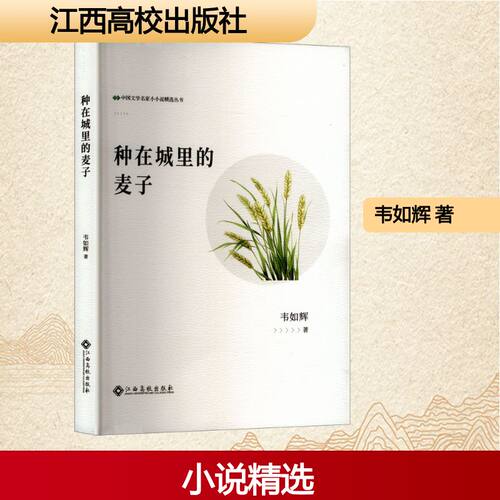 种在城里的麦子 韦如辉 中国文学名家小小说精选丛书 正版书籍畅销书 新华书店旗舰店文轩官网 江西高校出版社