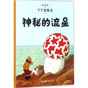 幼儿绘本故事书 小16开单本一二三年级小学生课外阅读书籍非注音版 丁丁历险记第9集神秘 流星连环画卡通漫画故事书