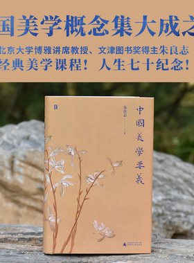 中国美学要义 朱良志 中国美学概念集大成之作 文津奖得主朱良志经典美学课程 传统文化文艺赏读中国美学知识大众阅读科普读物书籍