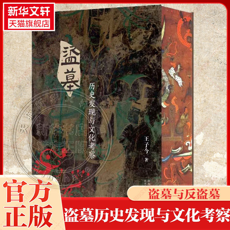 盗墓 历史发现与文化考察 王子今 以“盗墓与反盗墓”双重视角解码古代丧葬制度习俗文化 揭开千年黄土之下隐秘历史考古级探秘指南