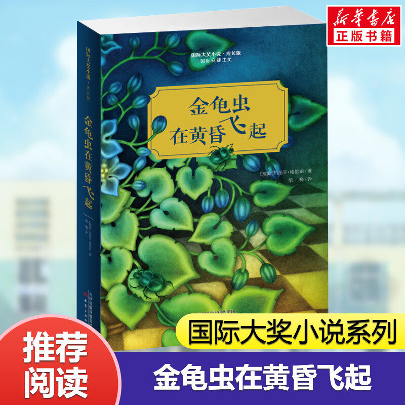 金龟虫在黄昏飞起 国际大奖小说系列成长版 二年级三四五六年级小学生