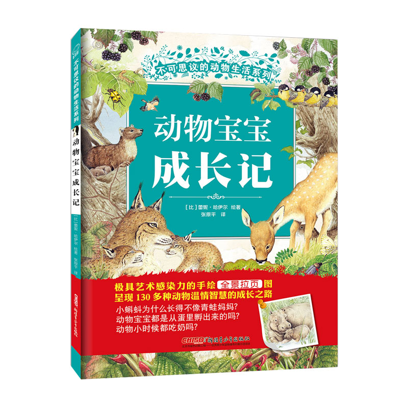 不可思议的动物生活动物宝宝成长记(精)比利时纯手绘科普观察力表达力出生方式觅食招数避害计策130+动物幼儿园一二三四年级
