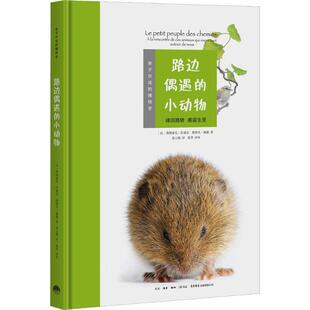 Francois Hette 路边偶遇 Stephane 斯特凡·赫德 Lasserre 弗朗索瓦·拉塞尔 法 小动物 新华文轩