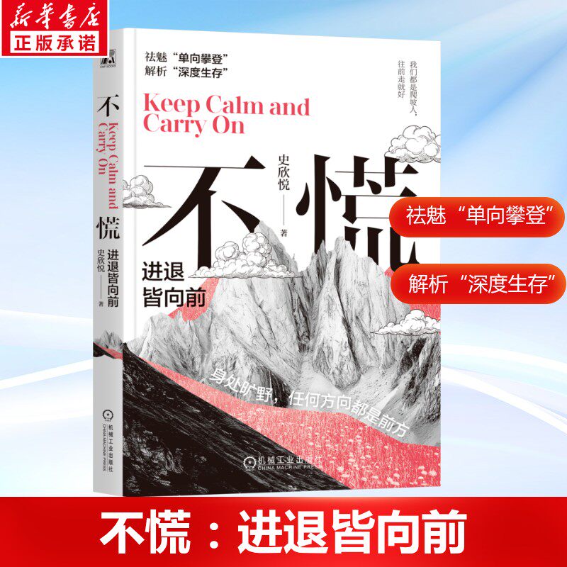 不慌：进退皆向前 史欣悦著 迷茫 成长 低谷 工作 财务独立 愿景 朋友圈 企业 员工 原则 安居平五路 改变机械工业出版社 正版书籍