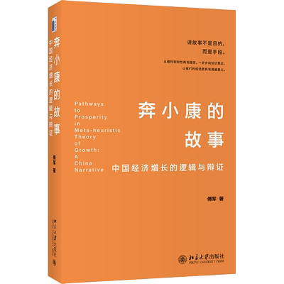 奔小康的故事 中国经济增长的逻辑与辩证 傅军 北京大学出版社 正版书籍 新华书店旗舰店文轩官网