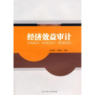 经济效益审计 杜建菊 王德礼 著作 合肥工业大学出版社 正版书籍 新华书店旗舰店文轩官网