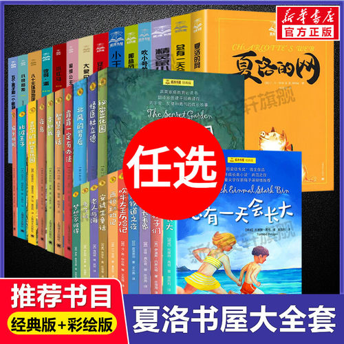 总有一天会长大全套正版夏洛的网