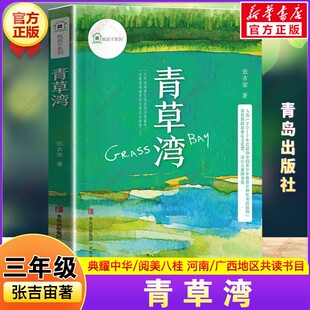 新华文轩】青草湾 2026年寒假三年级阅读书目河南典耀中华广西阅美八桂张吉宙著儿童文学故事书籍读物三年级必读课外书青岛出版社