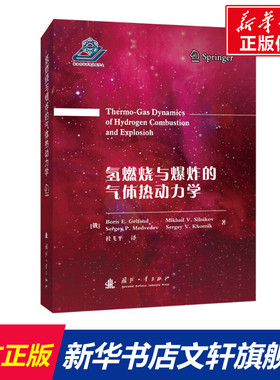 氢燃烧与爆炸的气体热动力学(精) (俄罗斯)Boris E.Gelfand//Mikhail V.Silnikov//Sergey P.Medvedev//Sergey V.Khomik