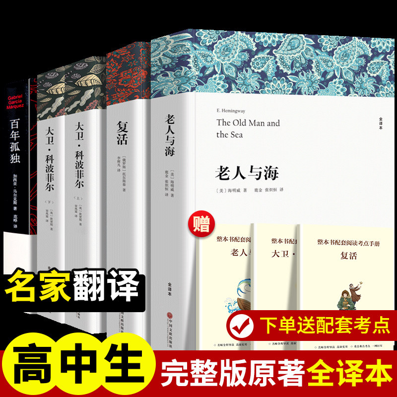大卫科波菲尔+老人与海+复活+百年孤独 查尔斯狄更斯海明威列夫托尔斯泰加西亚马尔克斯初高中课外阅读世界名著经典故事外国小说 - 实物图