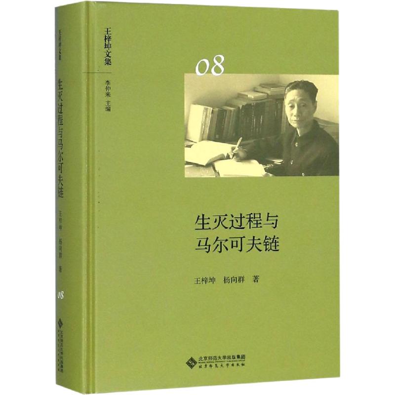 【新华文轩】生灭过程与马尔可夫链 王梓坤,杨向群 北京师范大学出版社 正版书籍 新华书店旗舰店文轩官网