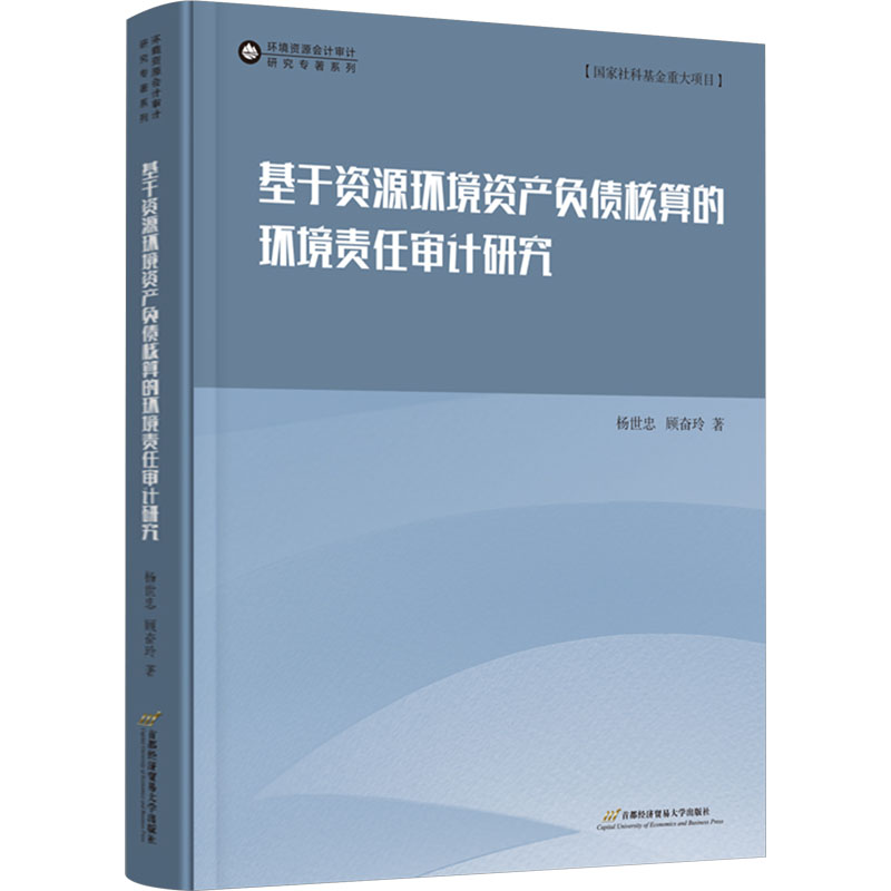 新华书店正版 审计 文轩网