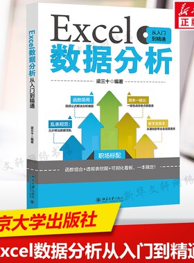 Excel数据分析从入门到精通 正版书籍 北京大学出版社 Excel书籍excel教程教材函数透视表参考书 办公自动化软件 办公效率提升书籍