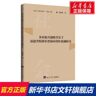 张赛群 书籍 经济日报出版 正版 新华书店旗舰店文轩官网 社 乡村振兴战略背景下福建省精准扶贫协同帮扶机制研究