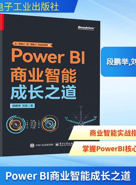 Power BI商业智能成长之道 段鹏举,刘钰 著 正版书籍 电子工业出版社 数据库系列书籍数据结构数据分析参考书 计算机数据工具书